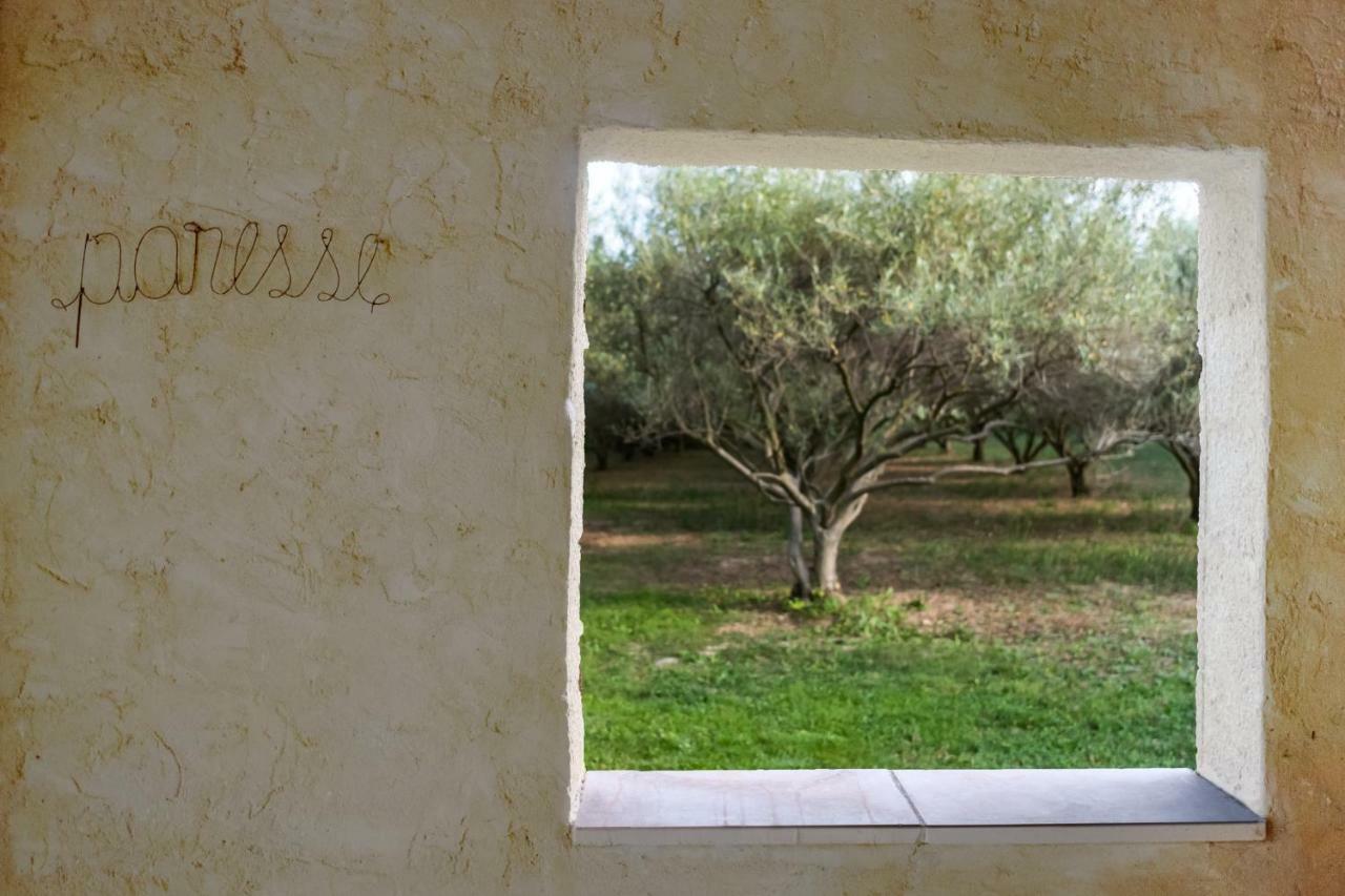 Mas De L'Arrivette Bed and Breakfast Saint-Geniès-de-Comolas Εξωτερικό φωτογραφία